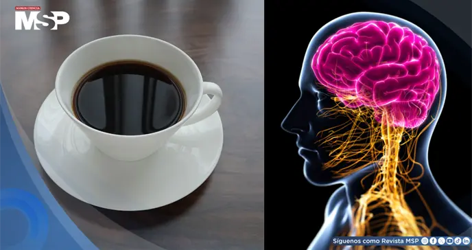 Descubren que dos tazas de café al día podrían reducir un 18% el riesgo de demencia