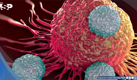 Cient&iacute;ficos descubren c&oacute;mo las c&eacute;lulas eliminan prote&iacute;nas da&ntilde;inas sin gastar energ&iacute;a