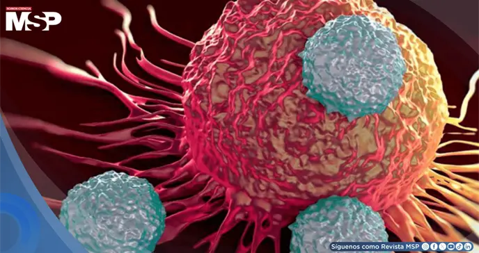 Cient&iacute;ficos descubren c&oacute;mo las c&eacute;lulas eliminan prote&iacute;nas da&ntilde;inas sin gastar energ&iacute;a