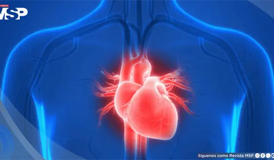 Seis de cada diez mujeres podrían padecer enfermedades cardiovasculares en 2050
