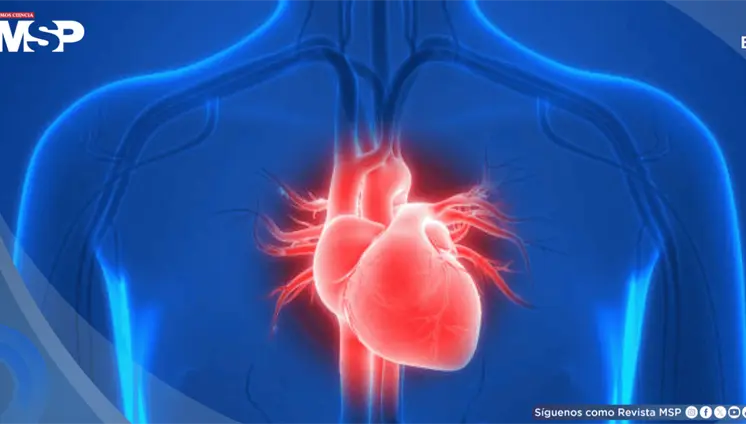 Seis de cada diez mujeres podrían padecer enfermedades cardiovasculares en 2050 Seis de cada diez mujeres podrían padecer enfermedades cardiovasculares en 2050