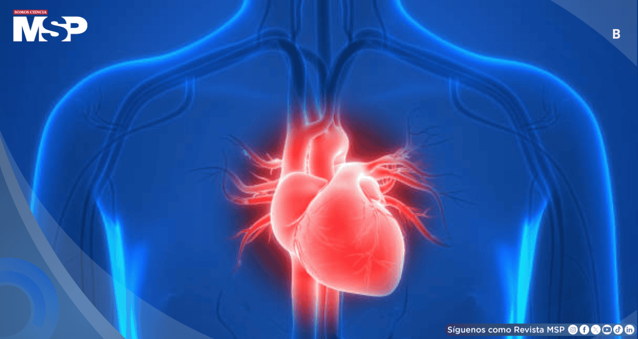 Seis de cada diez mujeres podr&iacute;an padecer enfermedades cardiovasculares en 2050
