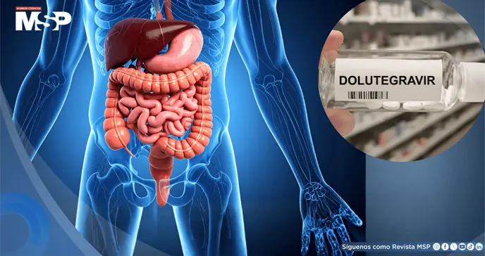 F&aacute;rmaco contra el VIH reparar&iacute;a el intestino da&ntilde;ado en fases avanzadas de la enfermedad